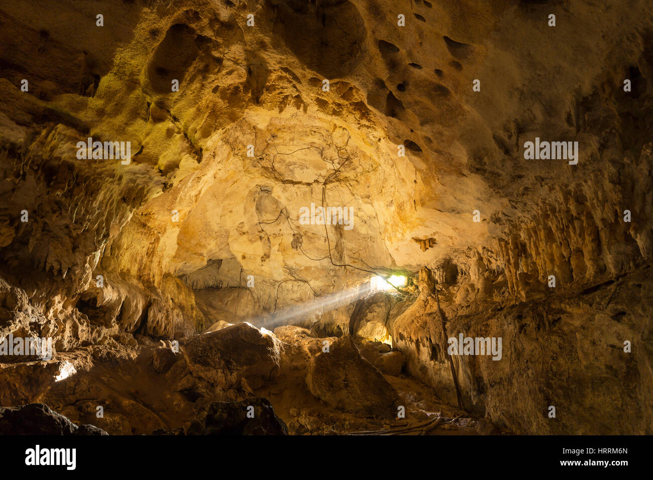 Cranio grotta bocca che conduce alla finestra di grotta di Arecibo PUERTO RICO Foto Stock