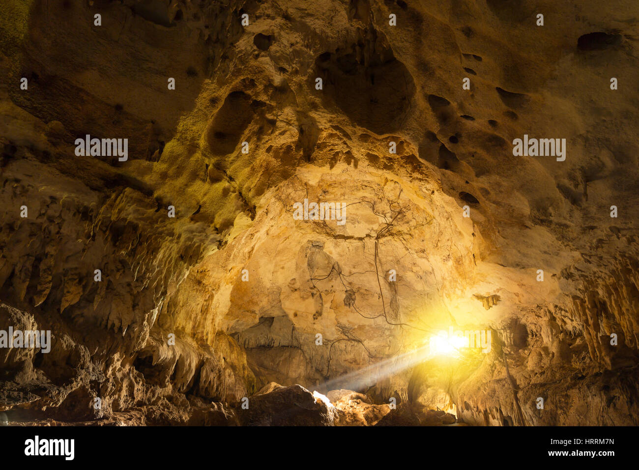 Cranio grotta bocca che conduce alla finestra di grotta di Arecibo PUERTO RICO Foto Stock