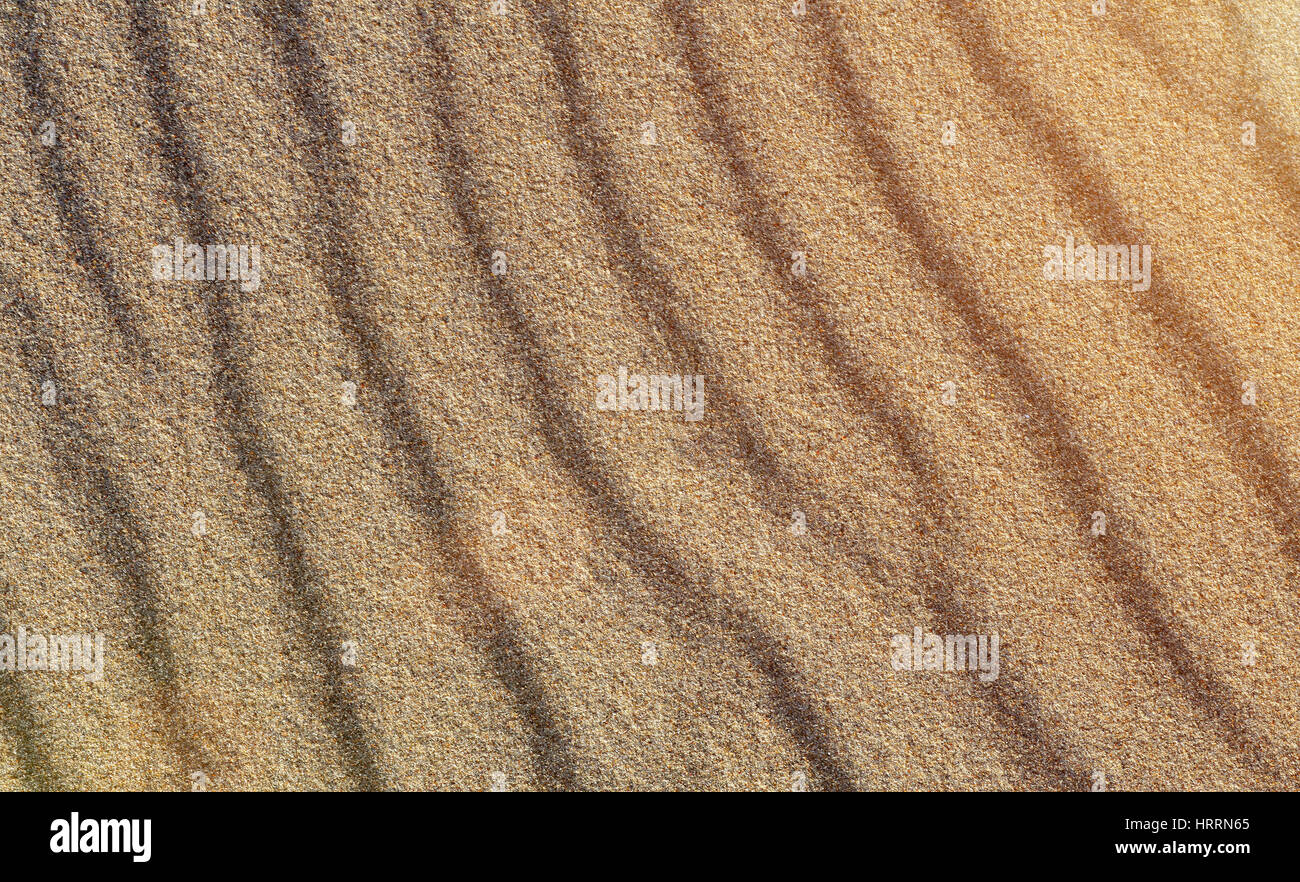 Texture di sabbia gialla. Spiaggia di sabbia patterns in serata calda luce del sole. File diritte di sabbia sulla spiaggia. Close up di sabbia. Bellissimo Sfondo sabbia per Foto Stock