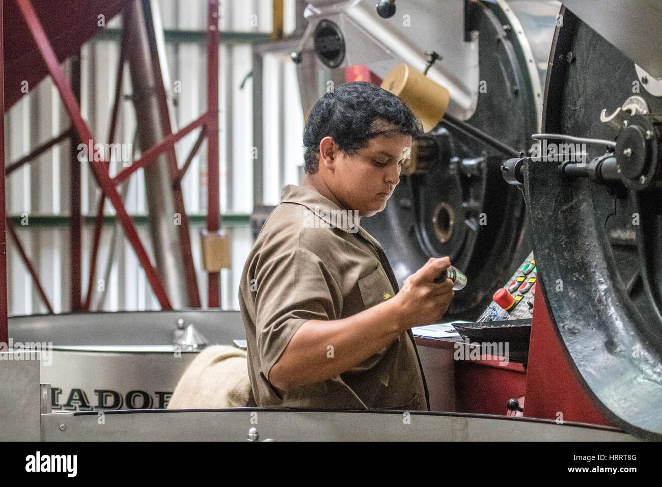 Un lavoratore è la tostatura i chicchi di caffè in un impianto di San Marcos, Costa Rica. Foto Stock