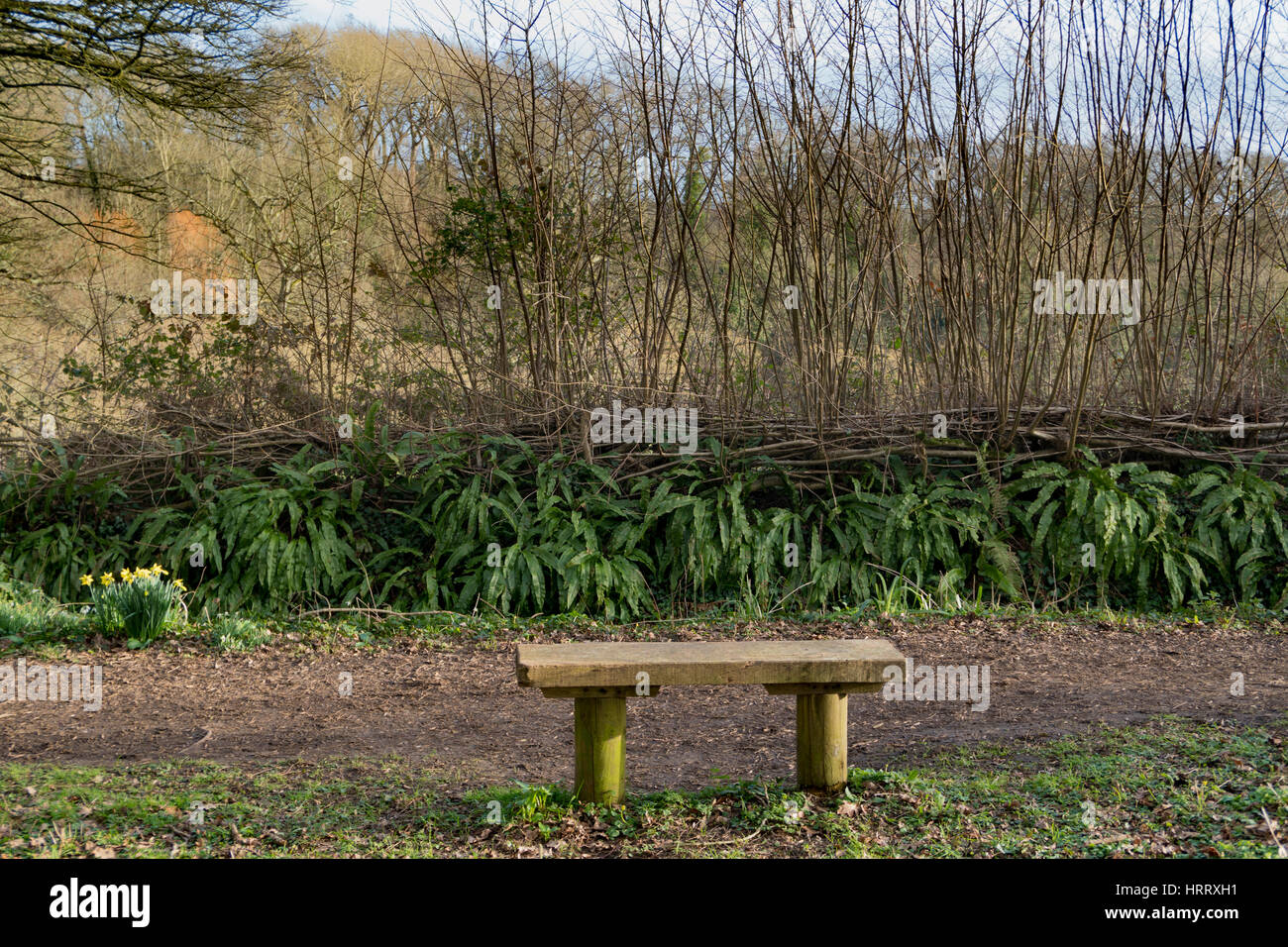 Hedge recante una specialità di campagna Foto Stock