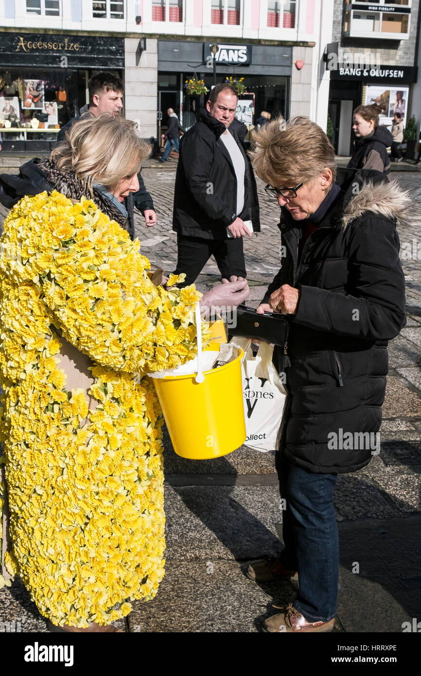 Borse Marie Curie di ospitalità per carità Daffodil appello donna narcisi a raccogliere donazioni street Truro Cornwall Regno Unito Foto Stock