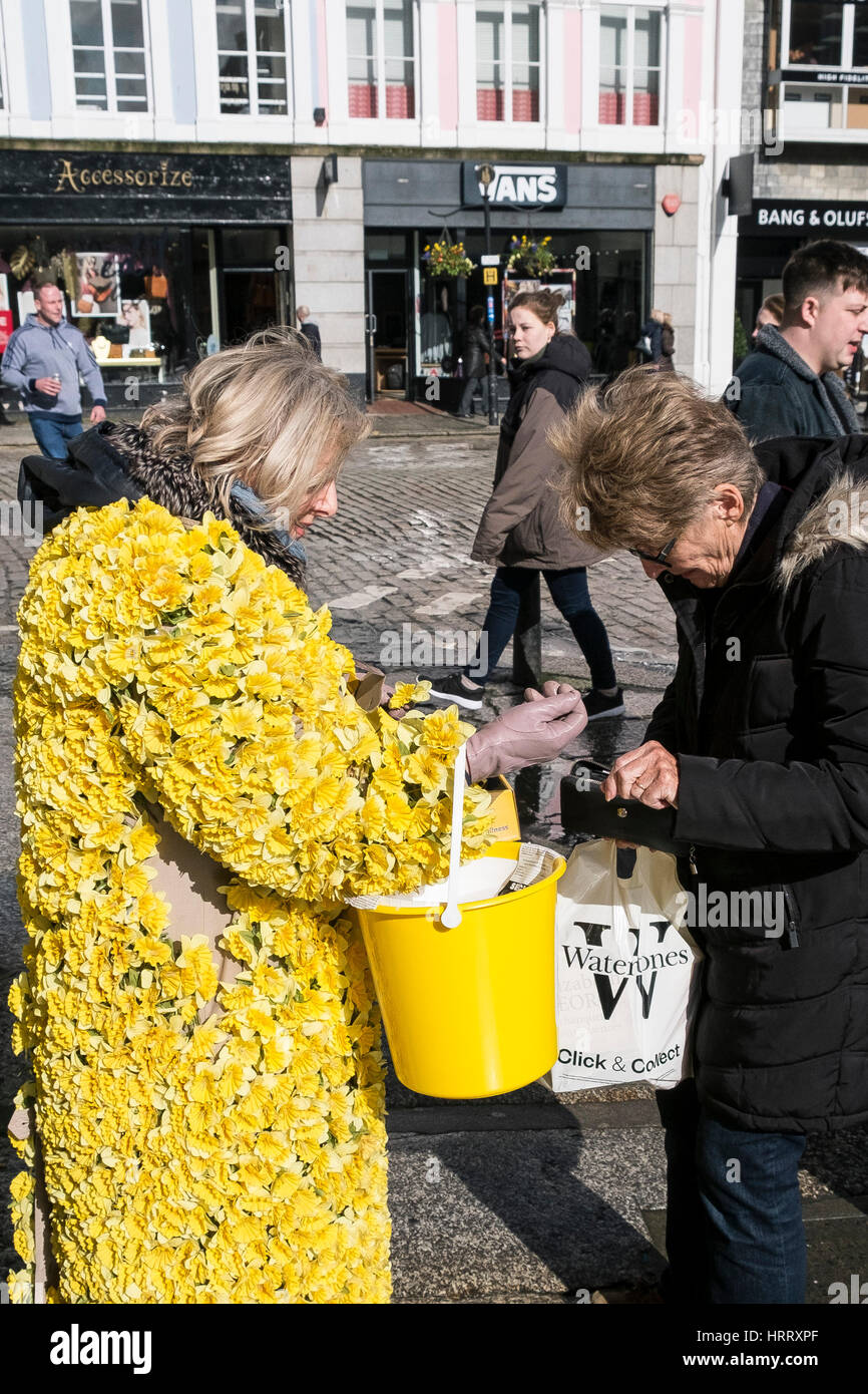 Borse Marie Curie di ospitalità per carità Daffodil appello donna narcisi a raccogliere donazioni street Truro Cornwall Regno Unito Foto Stock