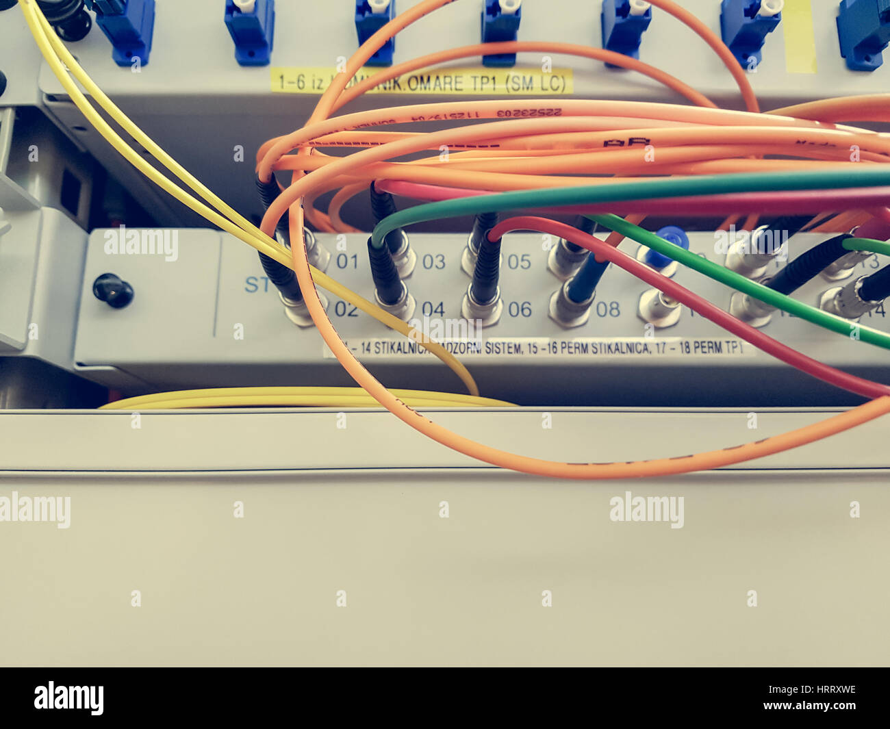 Vista dettagliata del cavo a fibre ottiche inserito nell'interruttore. Internet delle cose e il concetto di comunicazione. Foto Stock