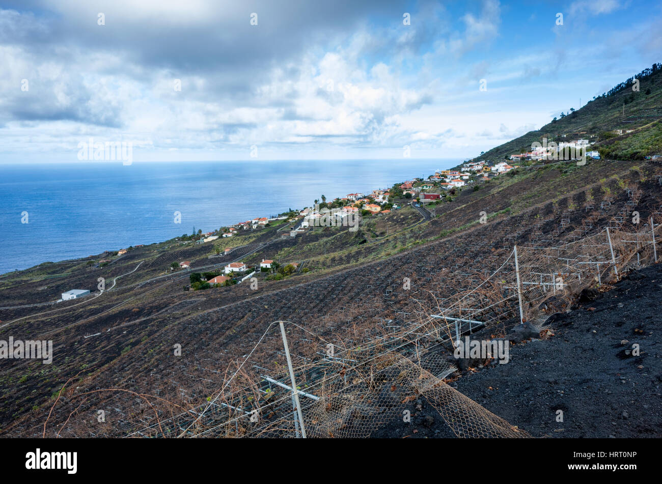 Vigneti, Fuencaliente. La Palma. Una vista sul lato della montagna vigneti dove le viti crescono nel ricco terreno lavico. Essi producono una varietà di vini di questa regione ed i loro migliori varietà nota è la Malvasia. Un villaggio locale può essere visto al di là dei vigneti. A questa altitudine la nuvola di vapore acqueo è visibile che fiancheggiano la costa. Si tratta di un luminoso giorno giorno nebuloso con diverse in rapido movimento di nuvole. Foto Stock