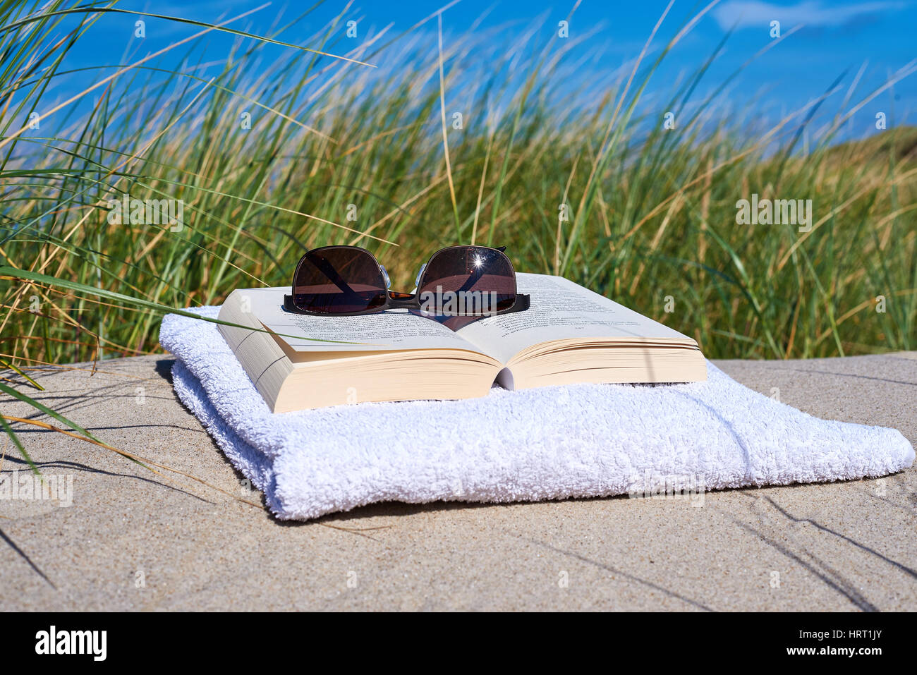 Prenota sulla spiaggia con occhiali da sole un infestante in background Foto Stock