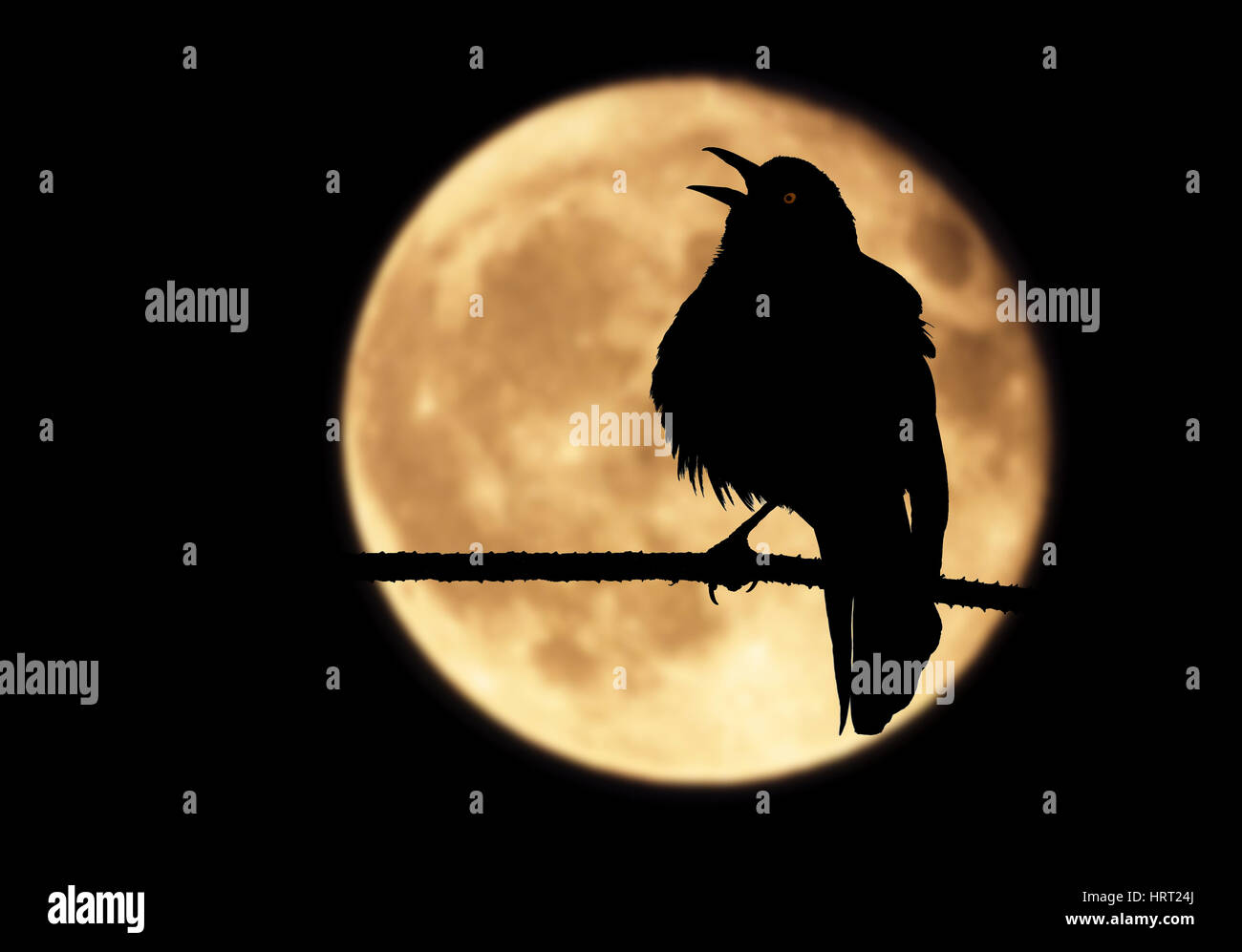 Una silhouette di un corvo shrieks nella notte di luna l'uccello, incorniciato da una luna piena, emette un bagliore rosso dal suo occhio. Foto Stock