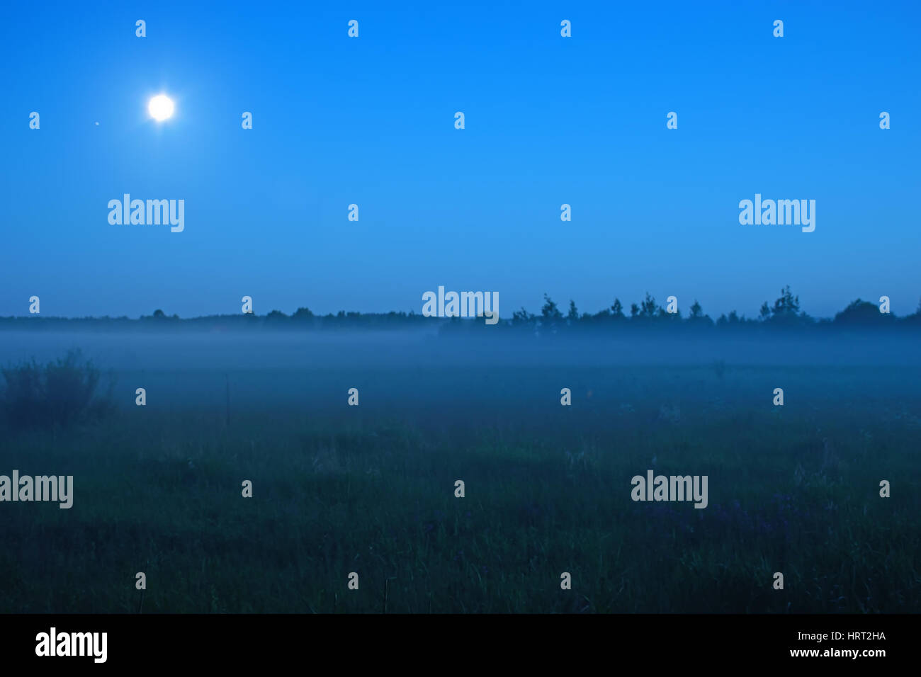 Campo di erba durante il periodo estivo nella nebbia di notte al chiaro di luna in estate. Foto Stock
