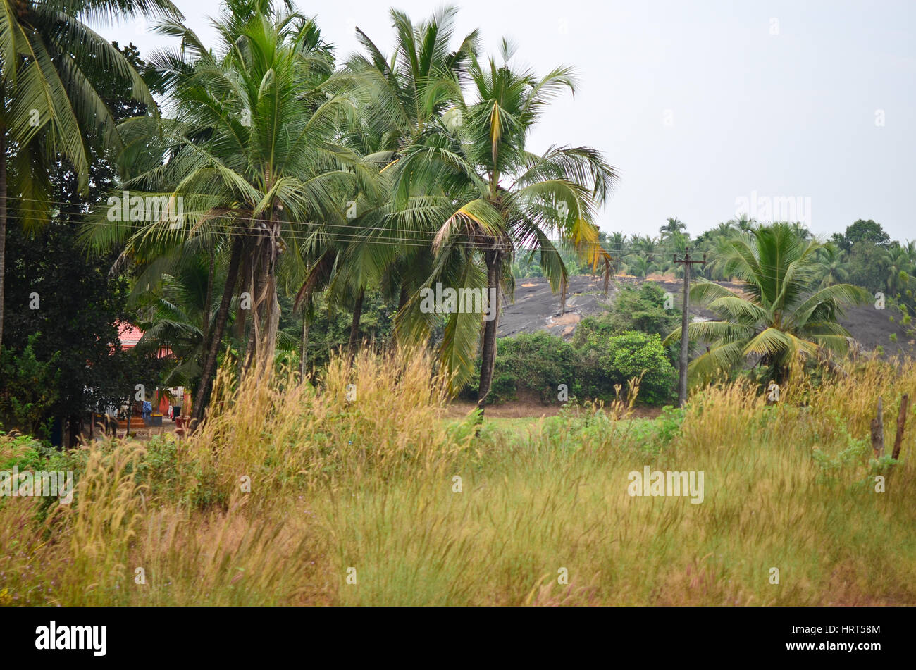 Paesaggio di India rurale. Scena di Goa - settore Kundapur catturati durante il viaggio in ferrovia Konkan Foto Stock