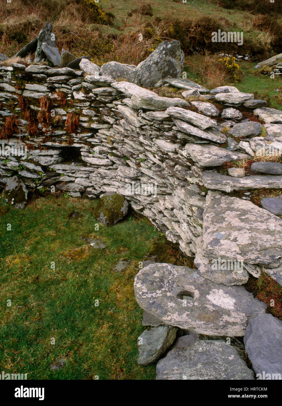 Interno del corbelled capanna di pietra (chlochán) spanning superiore e medio terrazze di Killabuonia inizio sito monastico, Iveragh Peninsula, Co. Kerry, Irlanda Foto Stock