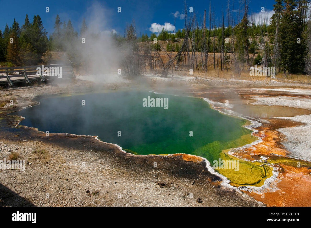 Abisso piscina nel West Thumb Geyser Basin, il Parco Nazionale di Yellowstone, usa la piscina più profonda noto a Yellowstone e fu chiamato a causa del suo abisso-come de Foto Stock