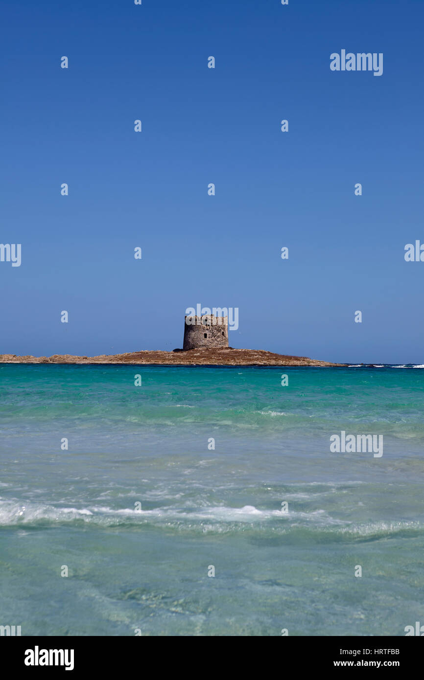 Spiaggia della Pelosa e la torre a Stintino, Sardegna, Italia Foto Stock