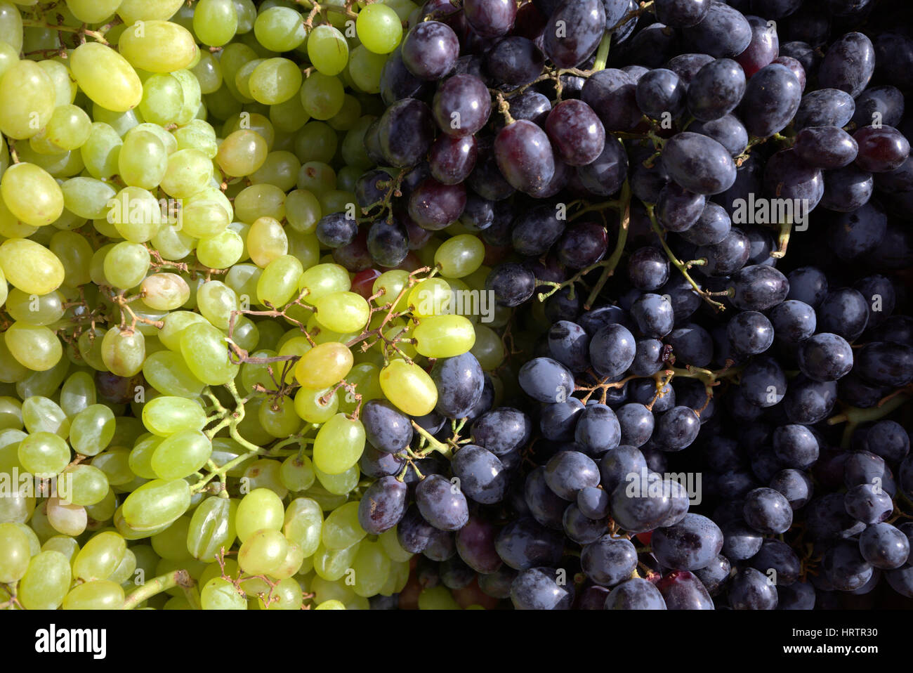 La frutta e la verdura uve di stallo Foto Stock