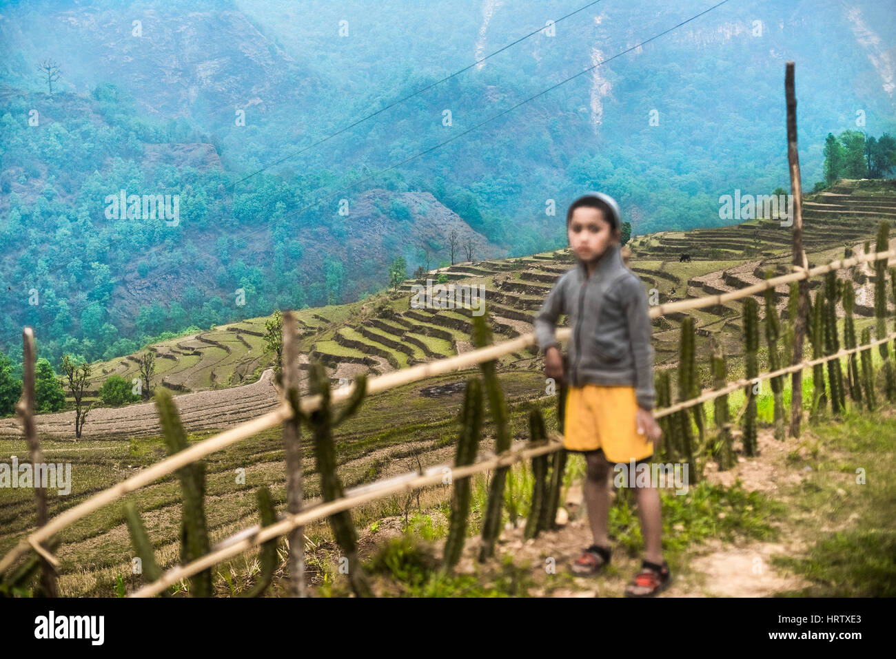 Scena di Damdame rurale con un bambino in primo piano. Regione di montagna di Panchase, Nepal. Foto Stock