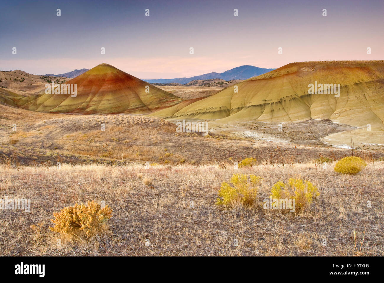 Colline dipinte all'alba, John Day Fossil Beds National Monument, colline dipinte di unità, Oregon, Stati Uniti d'America Foto Stock