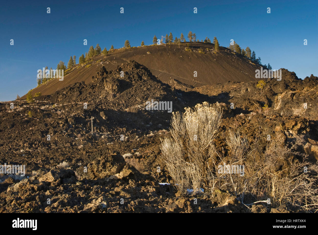 Vulcano lava Butte visto da Trail of the Molted Land al Newberry National Volcanic Monument, Oregon, Stati Uniti Foto Stock