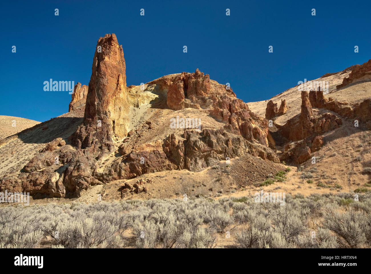 Riolite vulcanica formazioni rocciose in Leslie Gulch Owyhee vicino lago, montagna di mogano Caldera, alta regione desertica, Oregon, Stati Uniti d'America Foto Stock