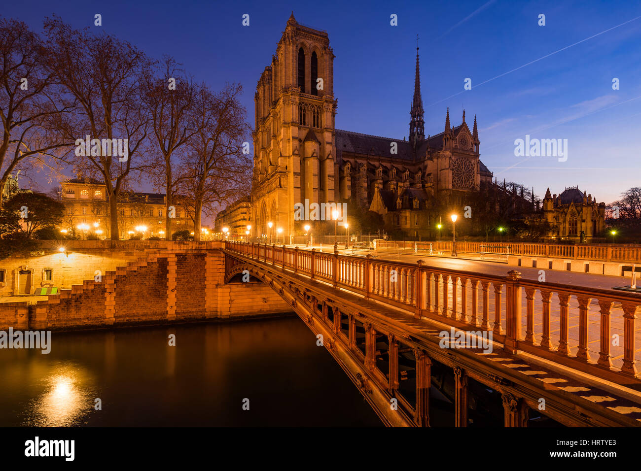 Notre Dame de Paris cathedral all'alba con il Pont au Double e il fiume Senna. Ile de la Cite. 4° Arrondissement, Parigi, Francia Foto Stock