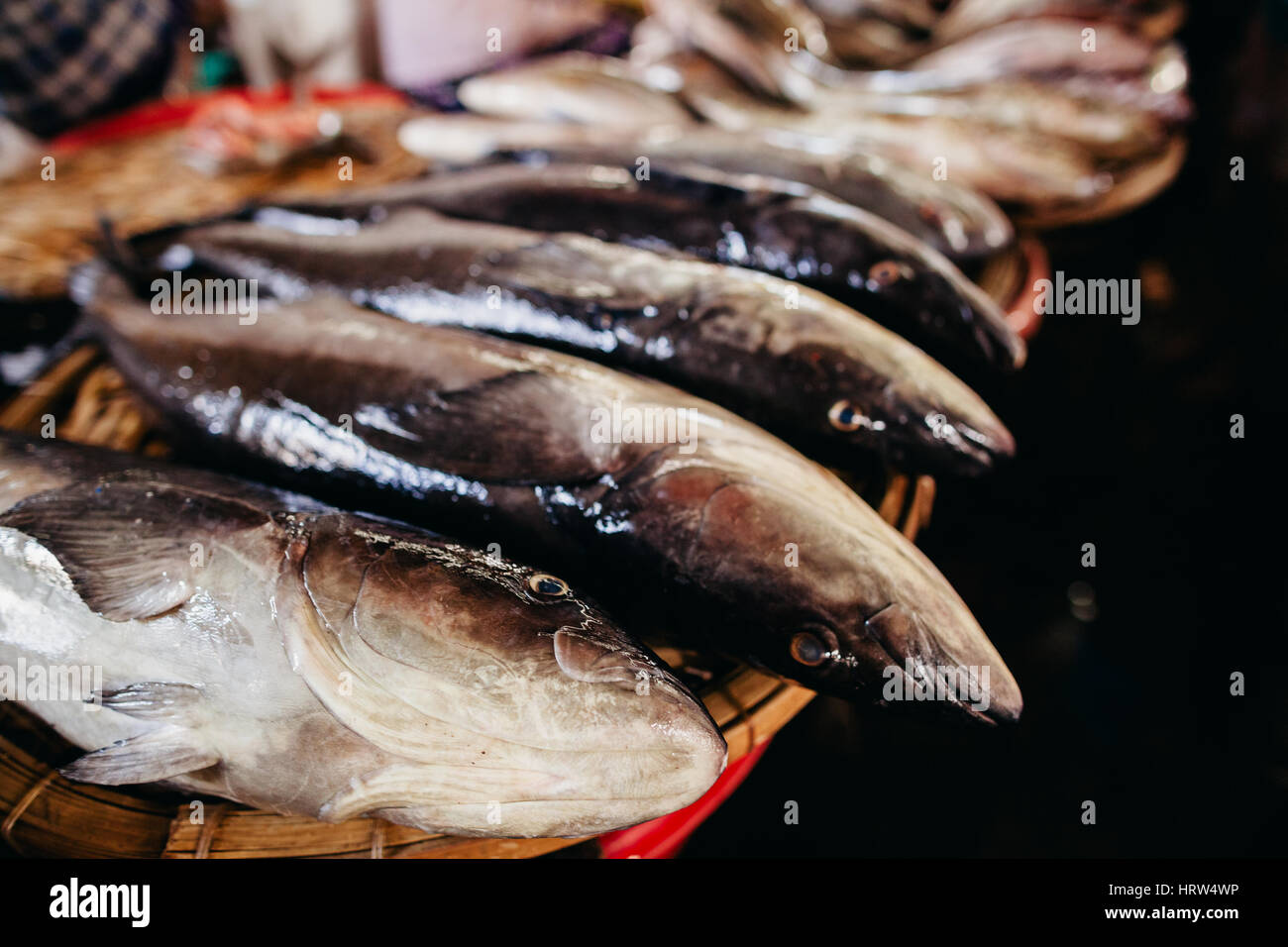 Pesce crudo affettato assortiti e tagliare lungo la strada del mercato locale in Asia, Vietnam Foto Stock