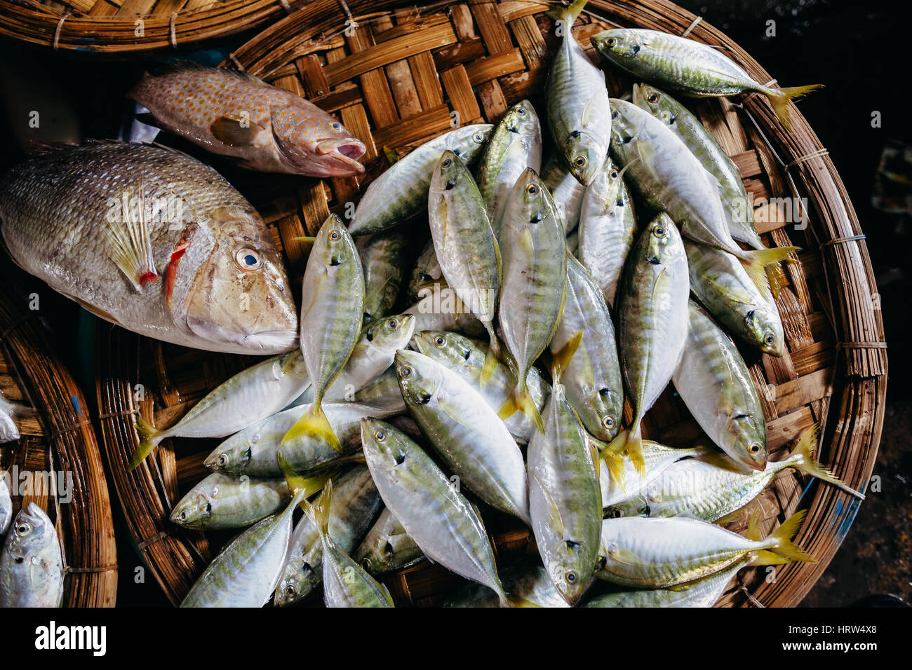 Pesce crudo affettato assortiti e tagliare lungo la strada del mercato locale in Asia, Vietnam Foto Stock