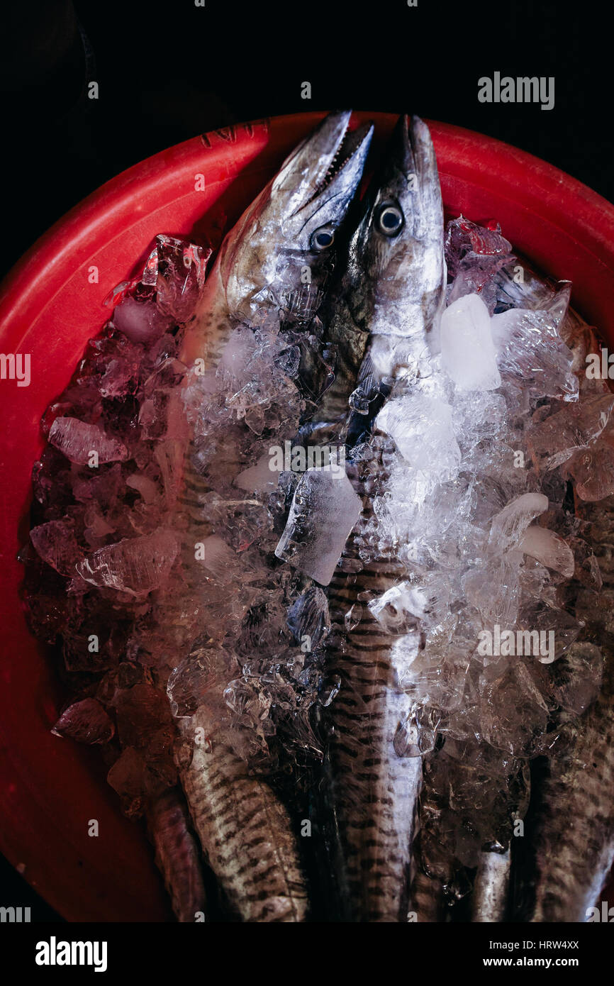 Pesce crudo affettato assortiti e tagliare lungo la strada del mercato locale in Asia, Vietnam Foto Stock