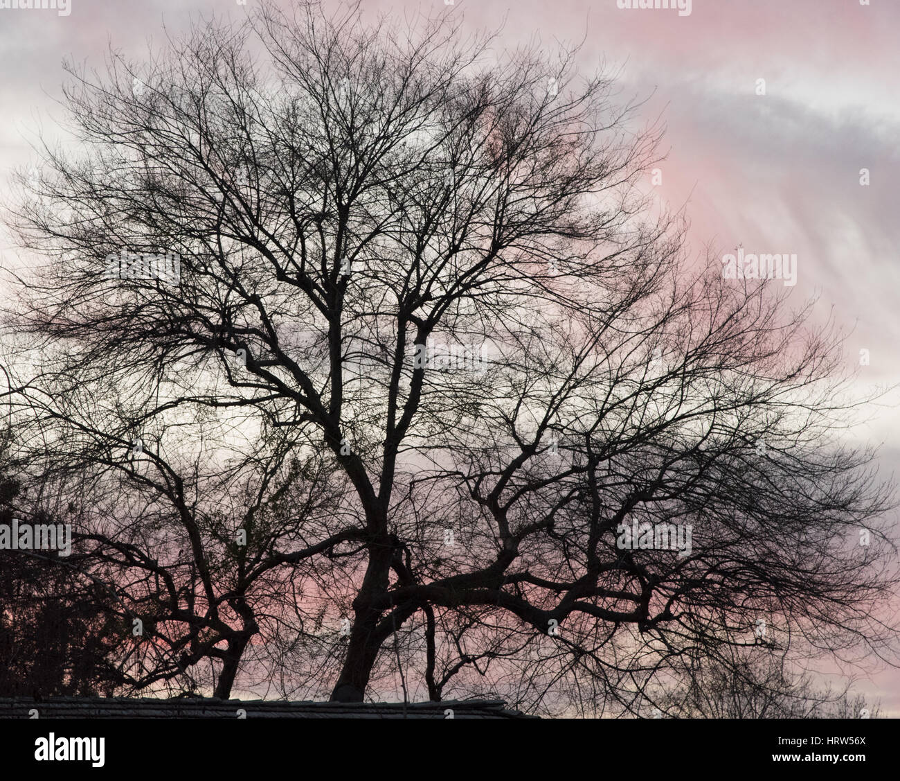 Struttura invernale al tramonto Foto Stock
