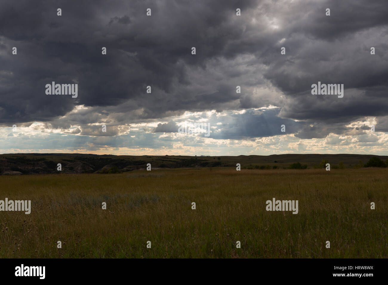 Tempesta Coluds su prati da uomo e si affacciano su erba, Parco nazionale Theodore Roosevelt, ND, STATI UNITI D'AMERICA Foto Stock