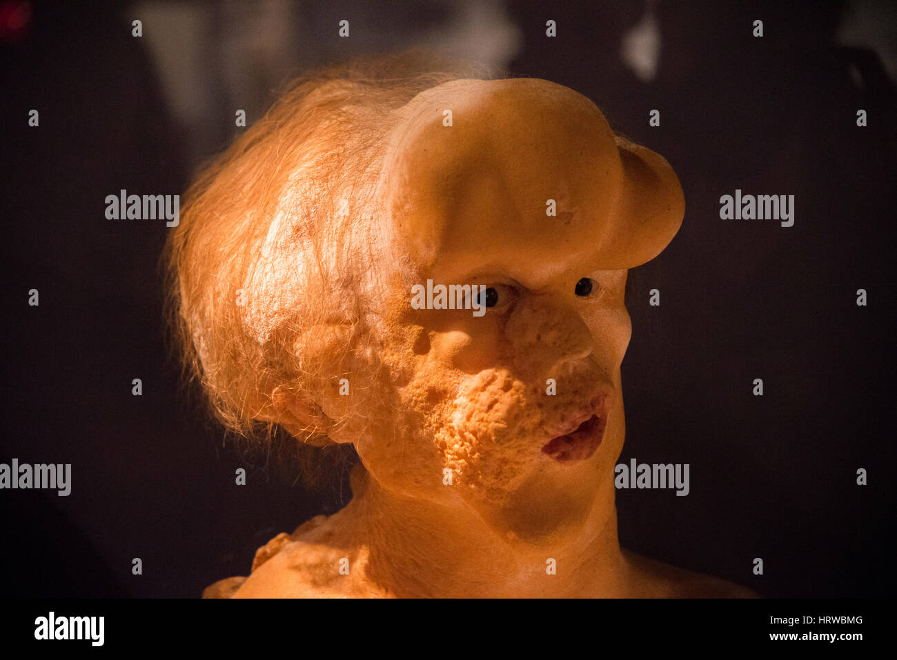 Elephant Man cast da film interpretato da John Hurt in immagine in movimento Museo Queens NYC Foto Stock