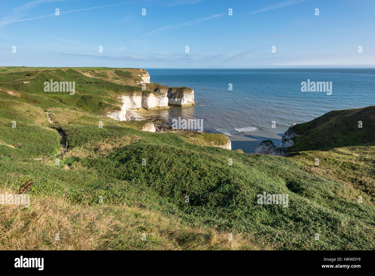 Splendida vista della baia di Selwicks a Flamborough Head, North Yorkshire, Inghilterra. Foto Stock