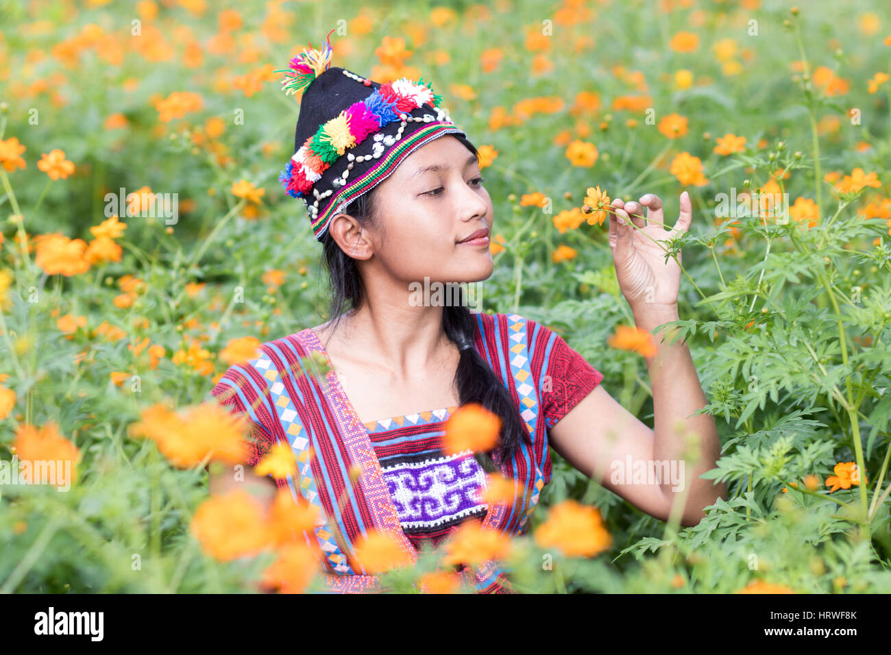 Donna asiatica in costume tradizionale per Karen odora un fiore Cosmo arancione sul prato Foto Stock