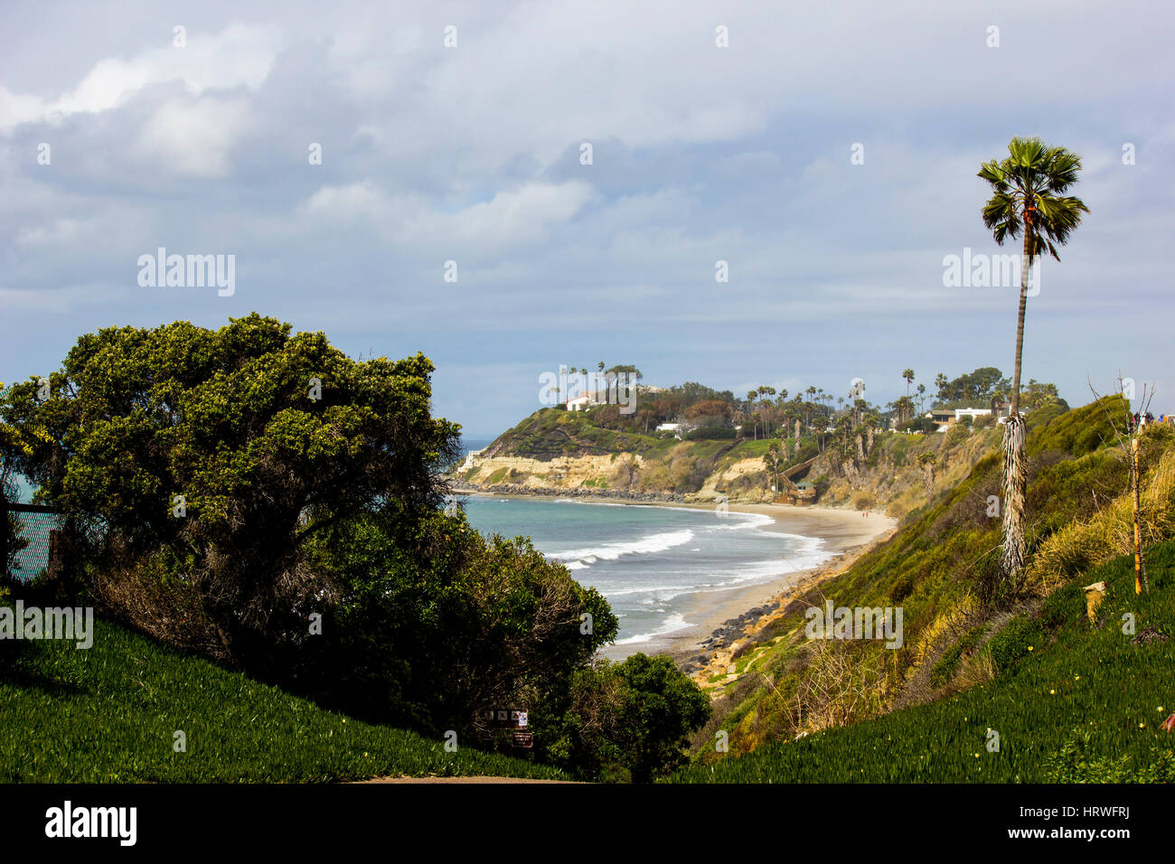 Spiaggia a distanza con cespugli e fogliame in primo piano Foto Stock