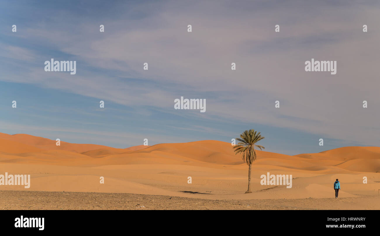 Scenic deserto rosso vicino a Merzouga, Marocco Foto Stock