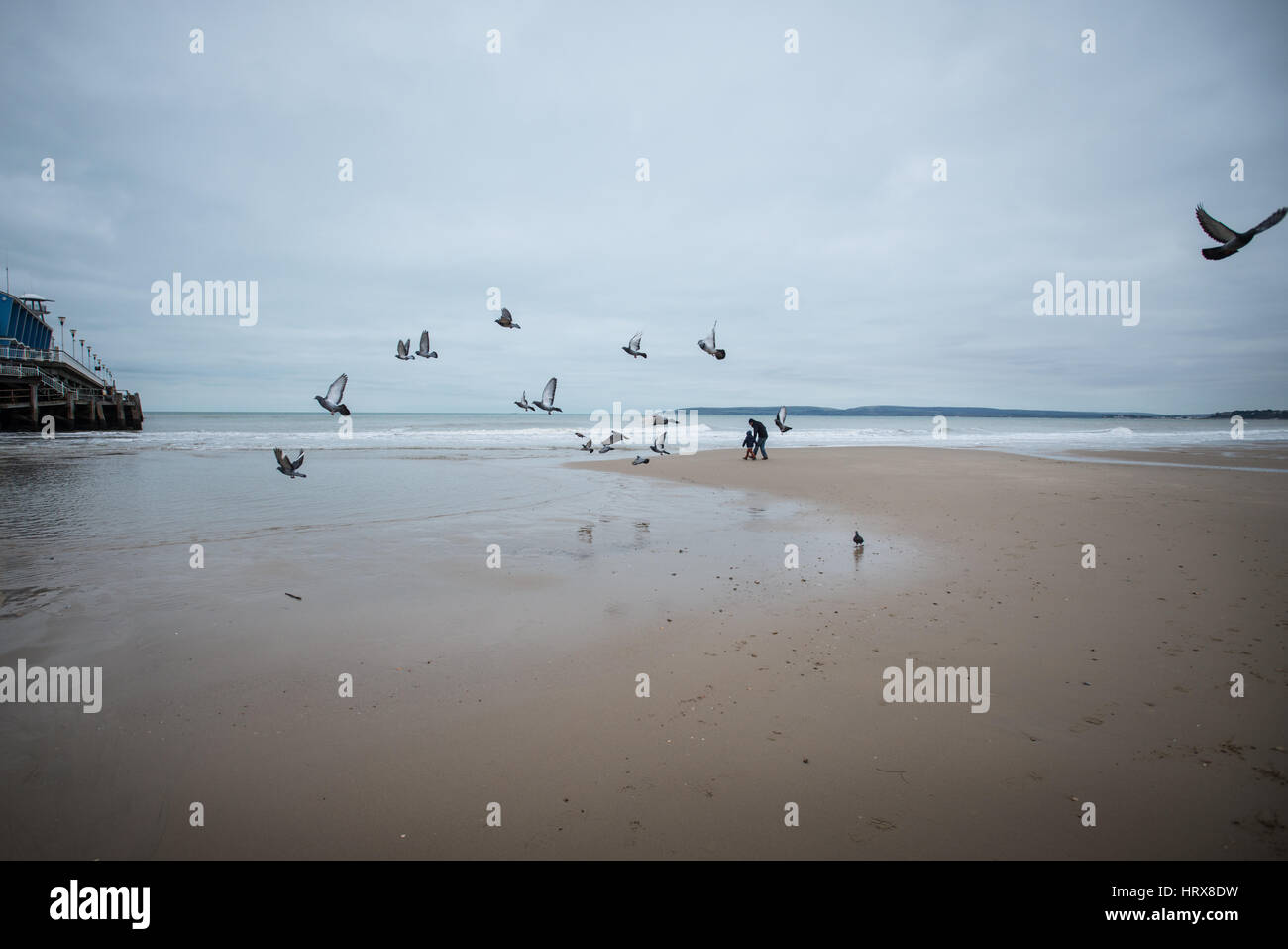 I piccioni volano nel cielo mentre la gente cammina lungo la spiaggia di Bournemouth, Dorset, Inghilterra, Regno Unito. Foto Stock I piccioni volano nel cielo mentre la gente cammina lungo la spiaggia di Bournemouth, Dorset, Inghilterra, Regno Unito. Foto Stock