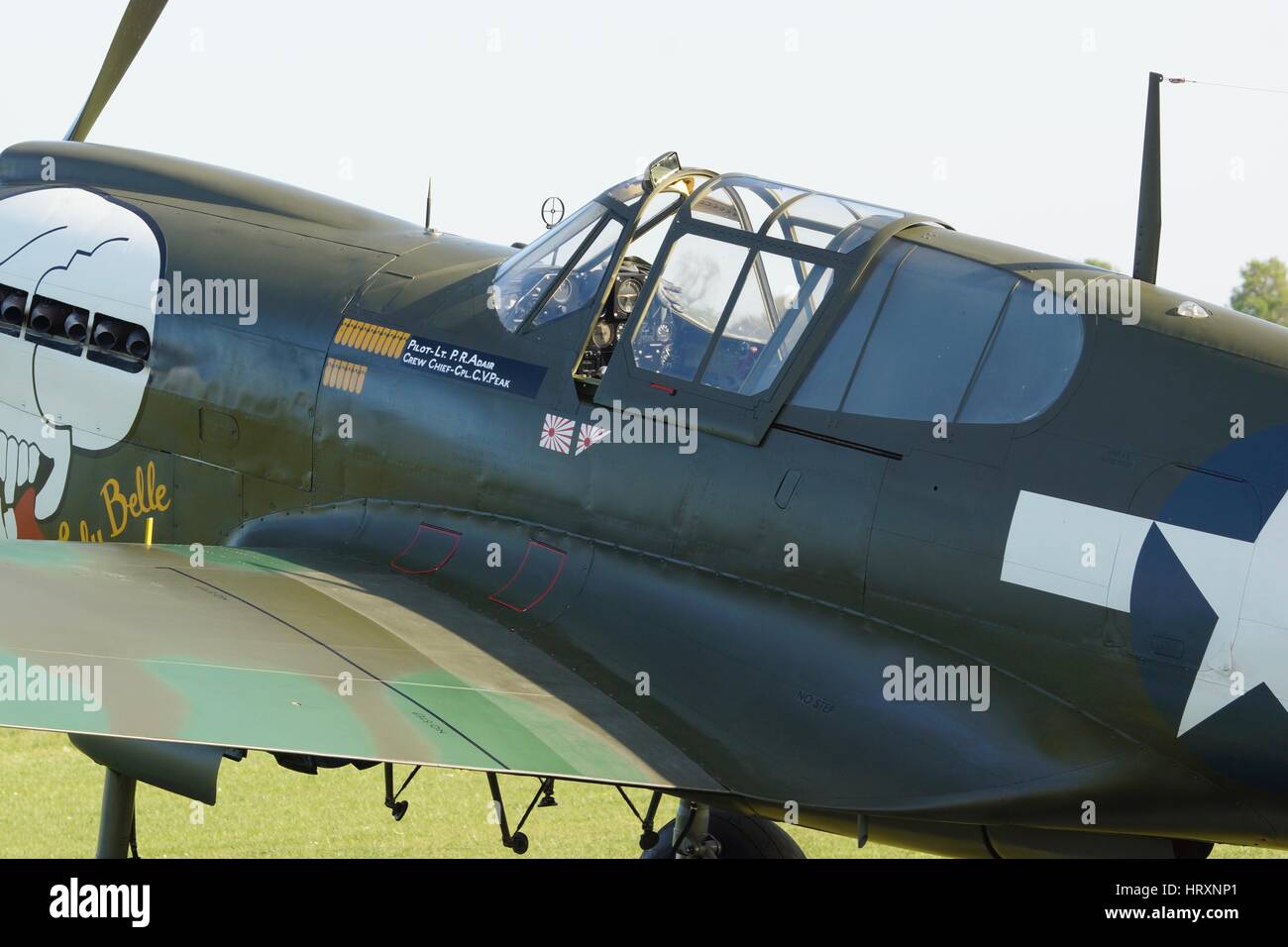 Curtiss p40 warhawk immagini e fotografie stock ad alta risoluzione - Alamy