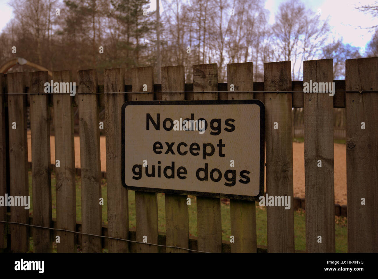 Cani non ammessi ad eccezione dei cani guida segno sulla recinzione Foto Stock