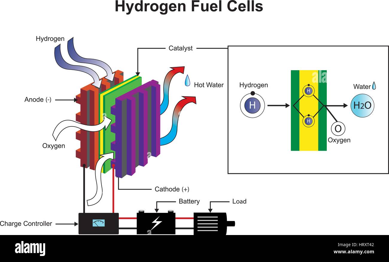 L'idrogeno è un elemento chimico con simbolo chimico H e numero atomico 1. Con un peso atomico di 1.00794 u, idrogeno è l'elemento più leggero sul Illustrazione Vettoriale