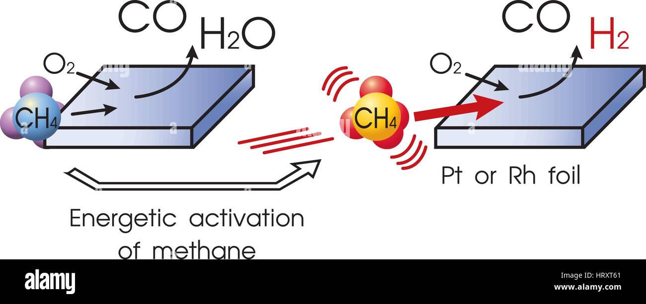 Ossidazione anaerobica di metano (AOM) è un procedimento microbico che si verificano in marine anossiche e sedimenti di acqua dolce. Vettore grafico. Illustrazione Vettoriale