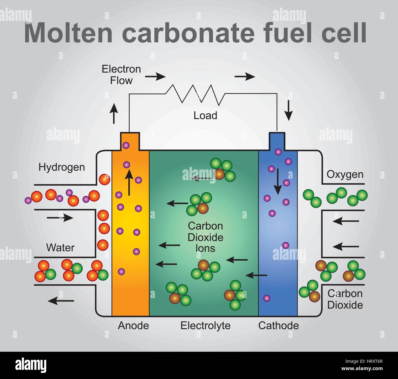 A carbonato fuso le celle a combustibile sono attualmente in fase di sviluppo per il gas naturale, biogas (prodotto come risultato della digestione anaerobica o gassificazione di biomassa Illustrazione Vettoriale