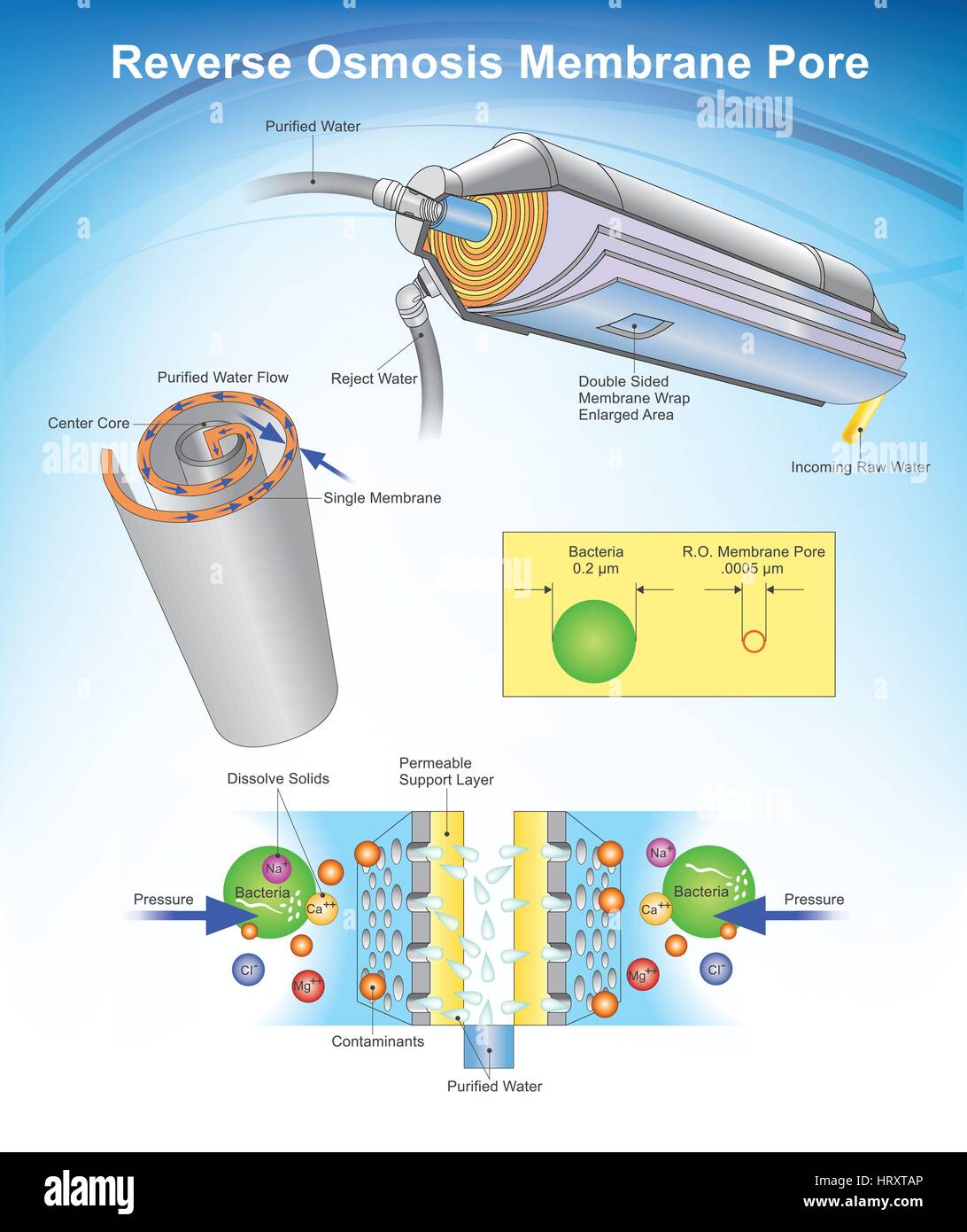 Osmosi inversa (RO) è una purificazione di acqua la tecnologia che utilizza una membrana semipermeabile per rimuovere ioni, molecole e particelle più grandi da drinki Illustrazione Vettoriale