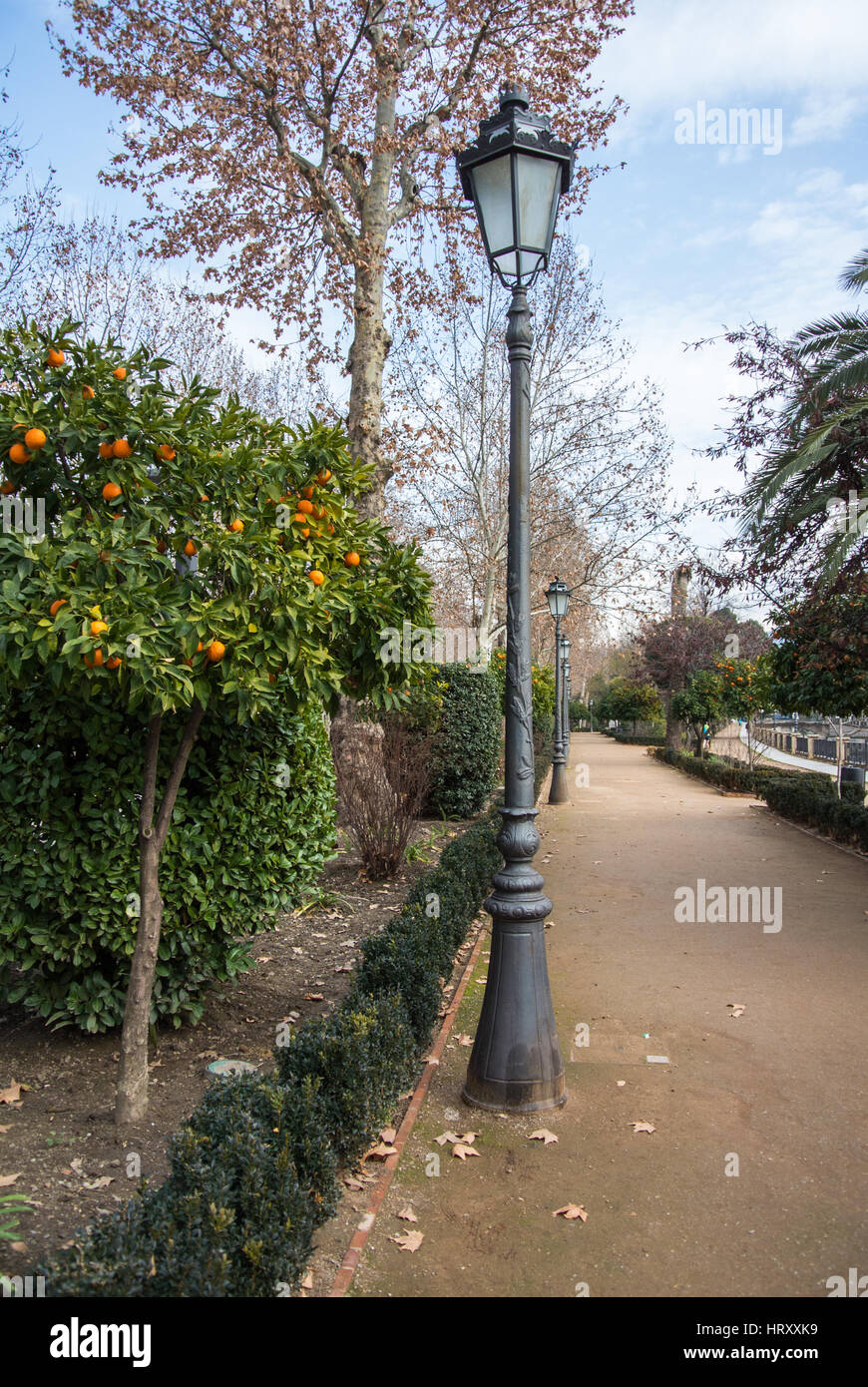Una lanterna e arancio presso il parco di Granada, Andalusia, Spagna. Foto Stock