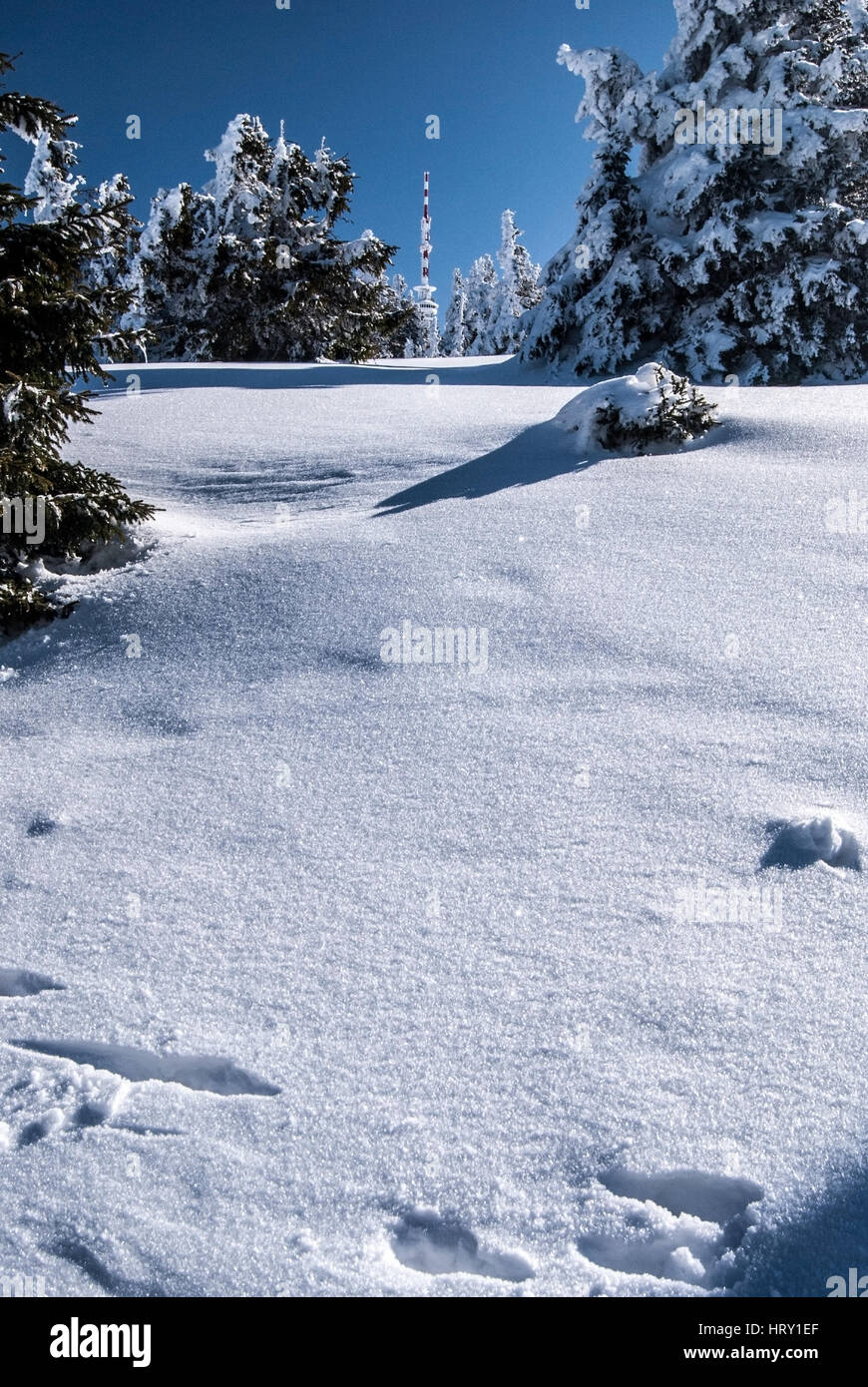 Praded hill in inverno jeseniky montagne in Repubblica ceca con la neve, alberi, torre di comunicazione e cielo chiaro Foto Stock