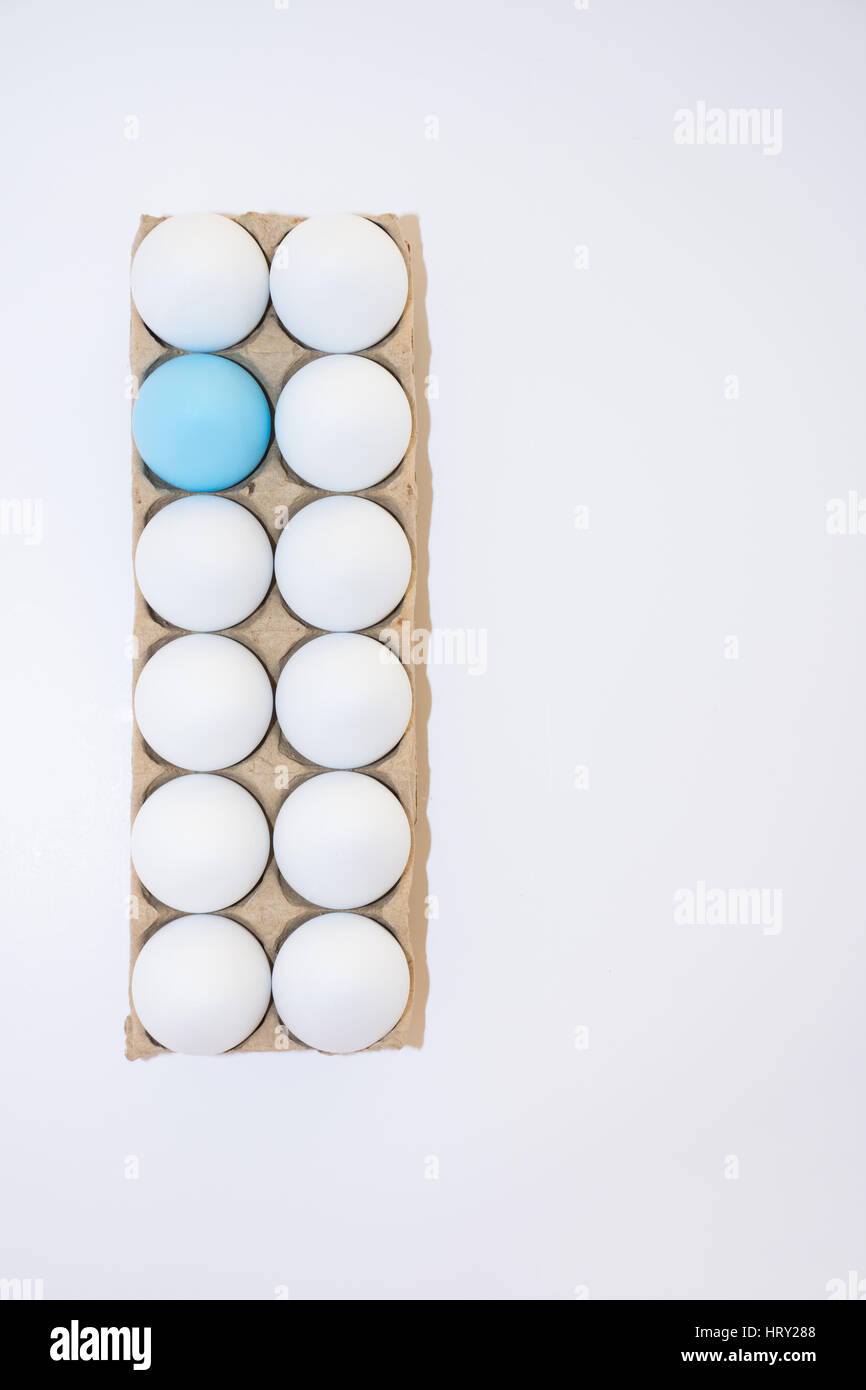 Un uovo di pasqua robin tinto di un uovo di blu e bianco undici hard boiled di gallina uova in un tan scatola di cartone dal di sopra su sfondo bianco con copia spazio. Foto Stock