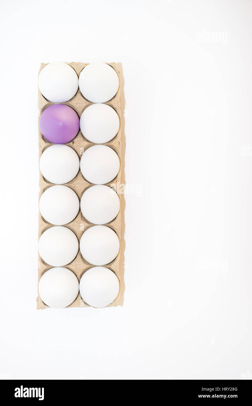 Un uovo di pasqua lavanda tinto o lilla e undici bianco della gallina uova in un tan scatola di cartone contro il bianco dal di sopra con copia spazio. Foto Stock