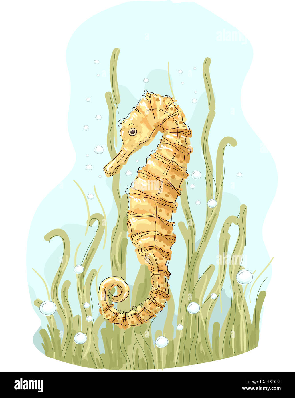 Illustrazione di un cavalluccio marino dorato nuoto circa Foto Stock