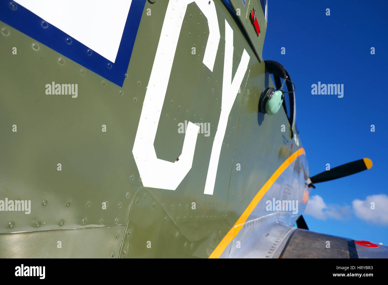 Titan T-51 Mustang replica di WW2 P Mustang Foto Stock