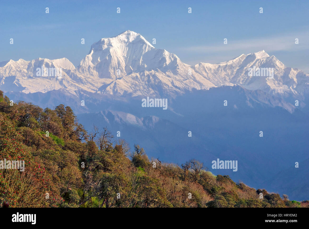 Il possente picco di Dhaulagiri nella regione di Annapurna del Nepal Foto Stock