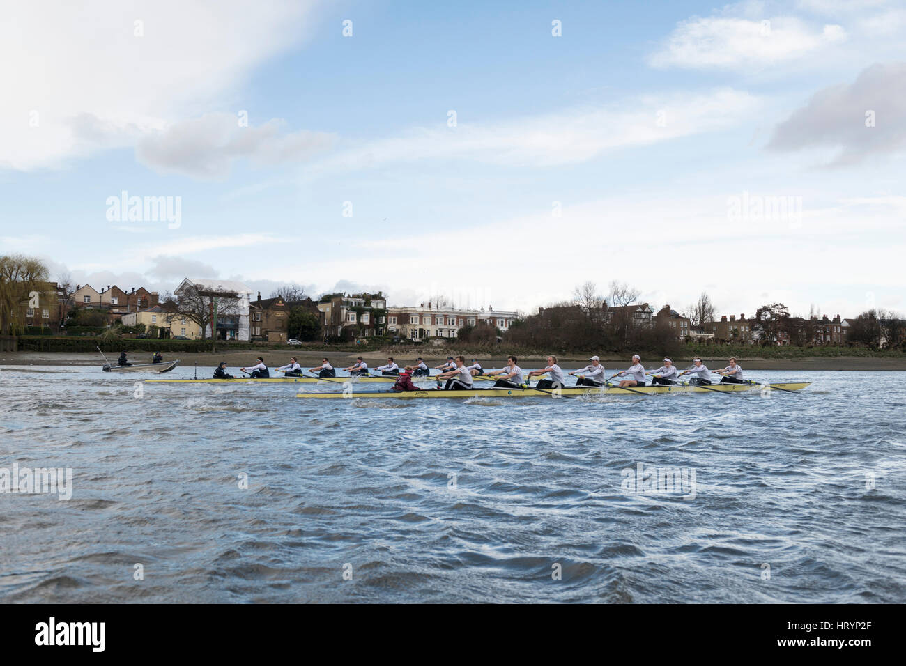 Londra, Regno Unito. Mar 5, 2016. Boat Race fixture. Oxford University Boat Club v ASR Nereus dall'Olanda. Come preparazione per la ricerca sul cancro, UK. 05 Mar, 2017. Le regate di Oxford e Cambridge club partecipano in un certo numero di partite contro altri club. Lista Equipaggio:- OUBC barca blu: 8 Vassilis Ragoussis (corsa), 7 James Cook, 6 Mike DiSanto, 5 Olivier Siegelaar, 4 Josh Bugajski, 3 Oliver Cook, 2 Matthew O'Leary, 1 William Warr (prua), Sam Collier (COX), Credit: Duncan Grove/Alamy Live News Foto Stock