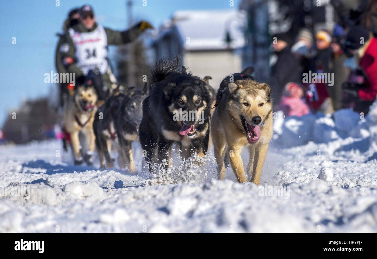 4 marzo 2017 - Jeff King, 4 volte vincitore Iditarod, all'inizio dell'Iditarod 2017, Anchorage in Alaska, Credito: Ron Levy/ZUMA filo/Alamy Live News Foto Stock