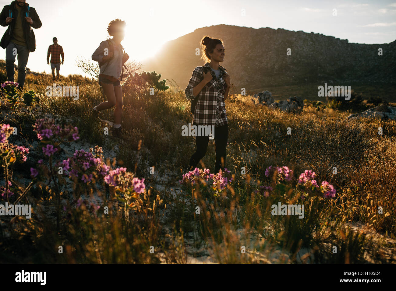 Gruppo di amici sono le escursioni in montagna in una giornata di sole. Quattro giovani passeggiate attraverso la campagna. Foto Stock