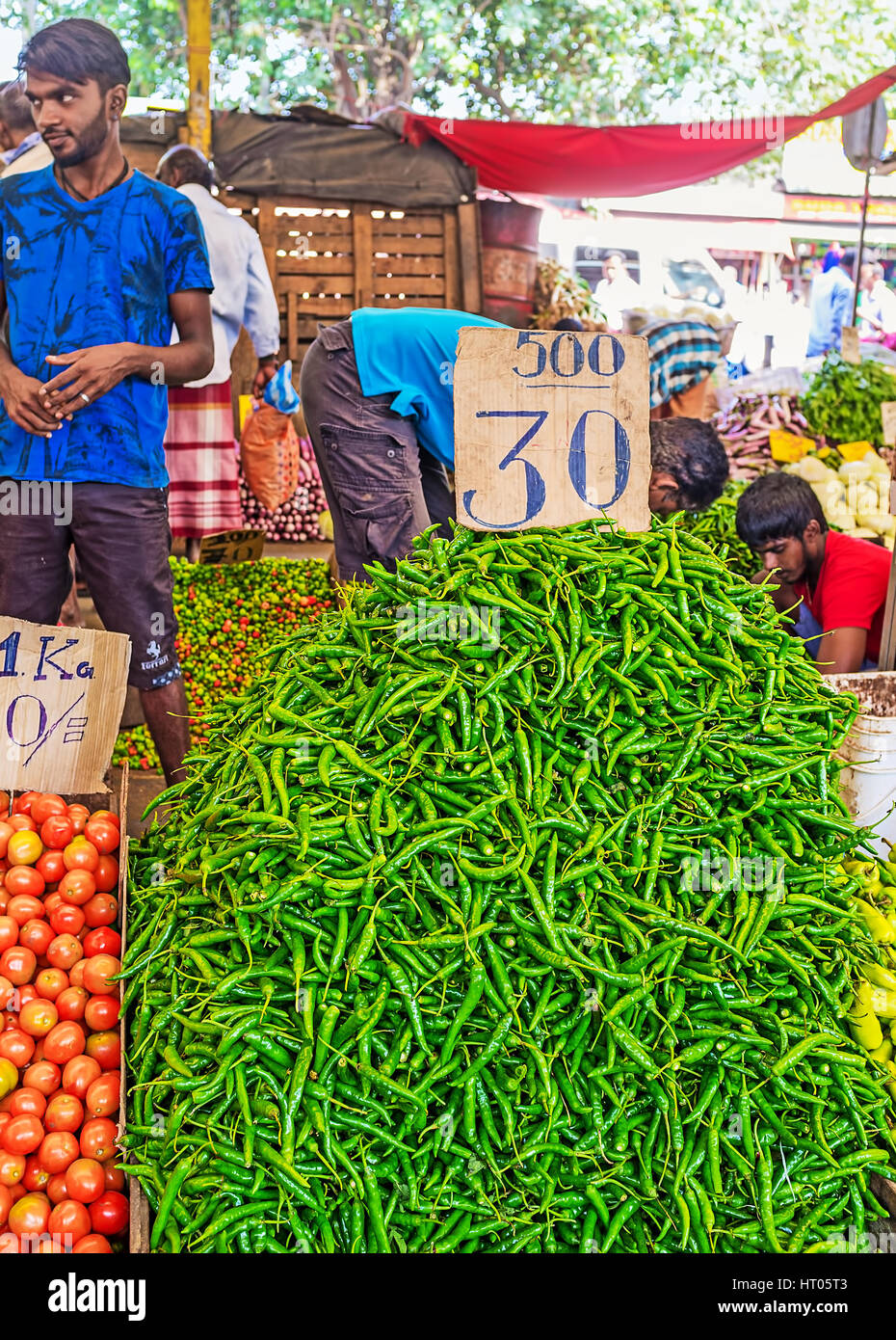 COLOMBO, SRI LANKA - 6 dicembre 2016: Il grande mucchio di peperone verde al vegetale di stallo Fose Mercato in Pettah, il 6 dicembre in Colombo. Foto Stock